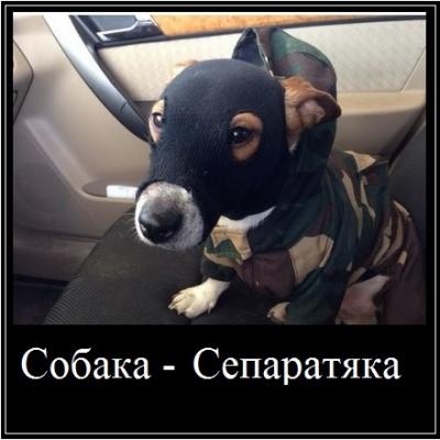 Прикрепленное изображение: Сепаратяка.jpg